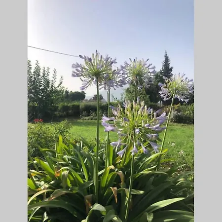 Tatil Evi A Summer House Is Close To The Sea With A Garden